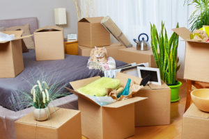 Moving Bedroom Furniture Overseas